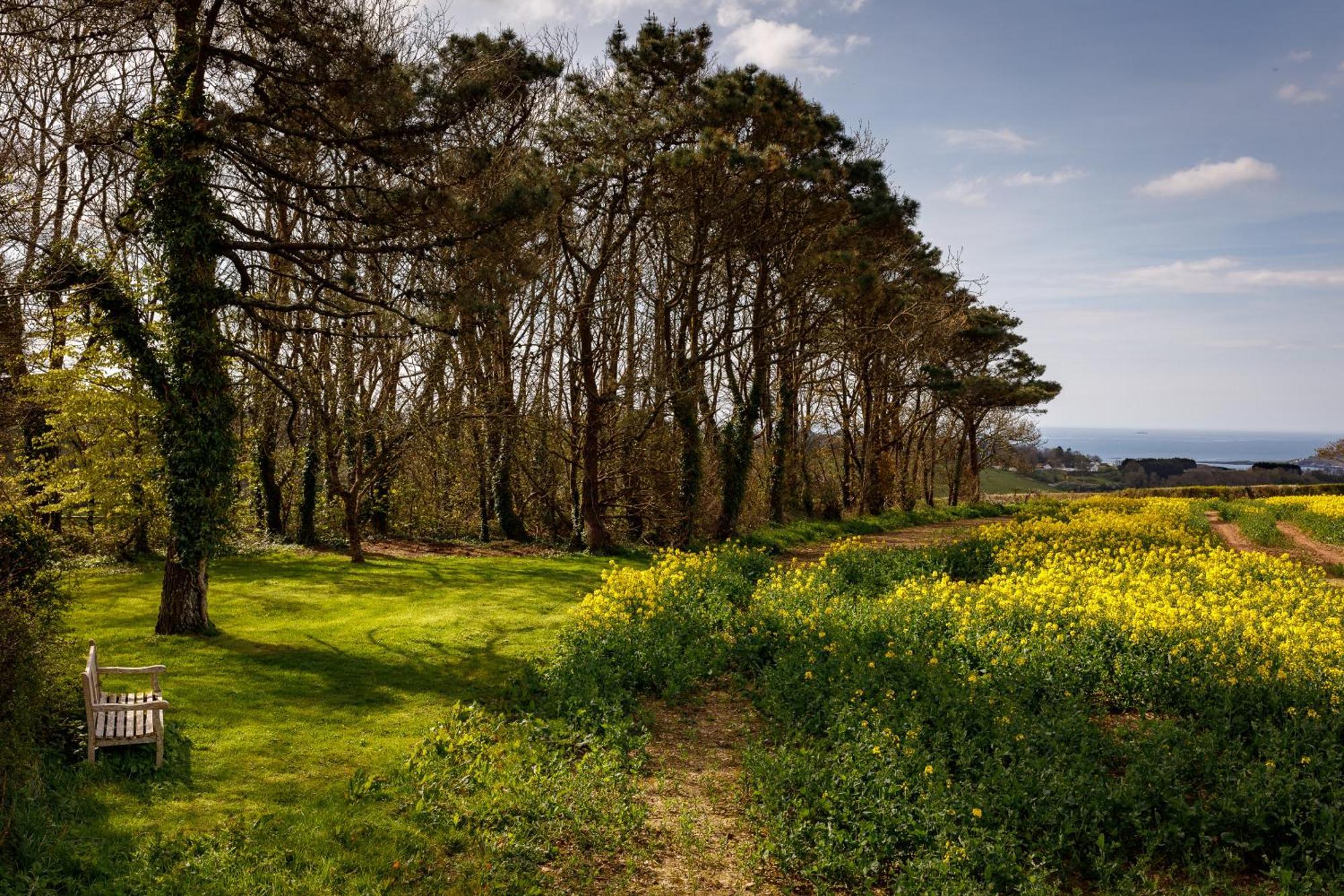 Bucklawren Farm Bed and Breakfast Looe Εξωτερικό φωτογραφία